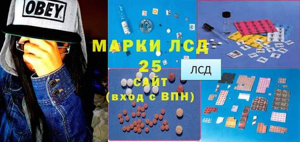 дурь Каменка