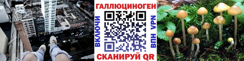 Псилоцибиновые грибы мухоморы  Славск 